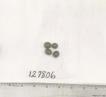 Click for 1 image(s) for this accession. FRUIT